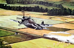 "Target of Opportunty" - Marc Stewart - P-47 Thunderbolt World War II Art